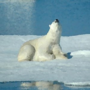 eenzame ijsbeer